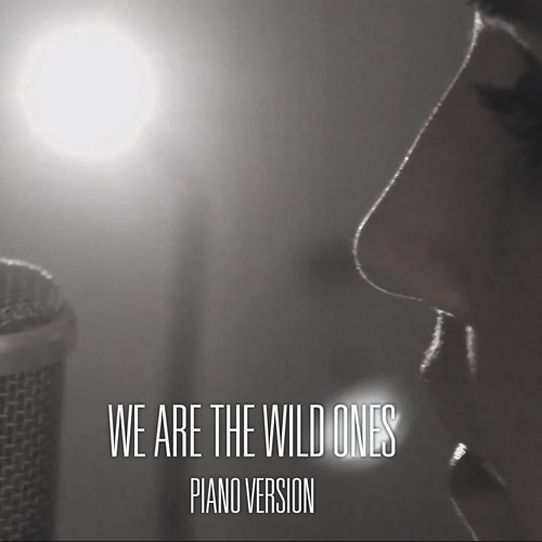 Nina - We Are The Wild Ones