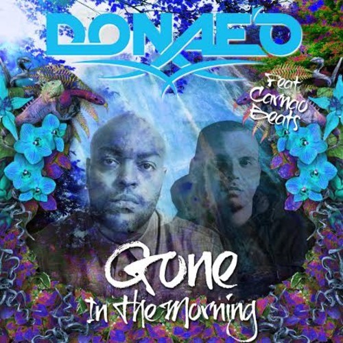 donaeo-gone-in-the-morning